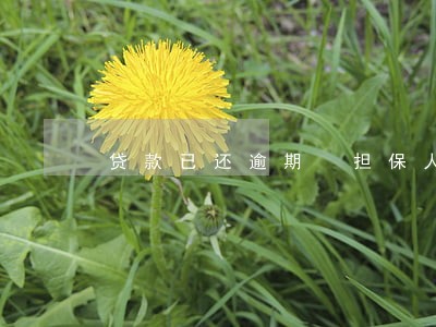 贷款已还逾期 担保人 贷款已还逾期 担保人